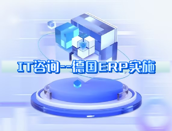 IT咨詢---德國ERP實施 IT咨詢---德國ERP實施